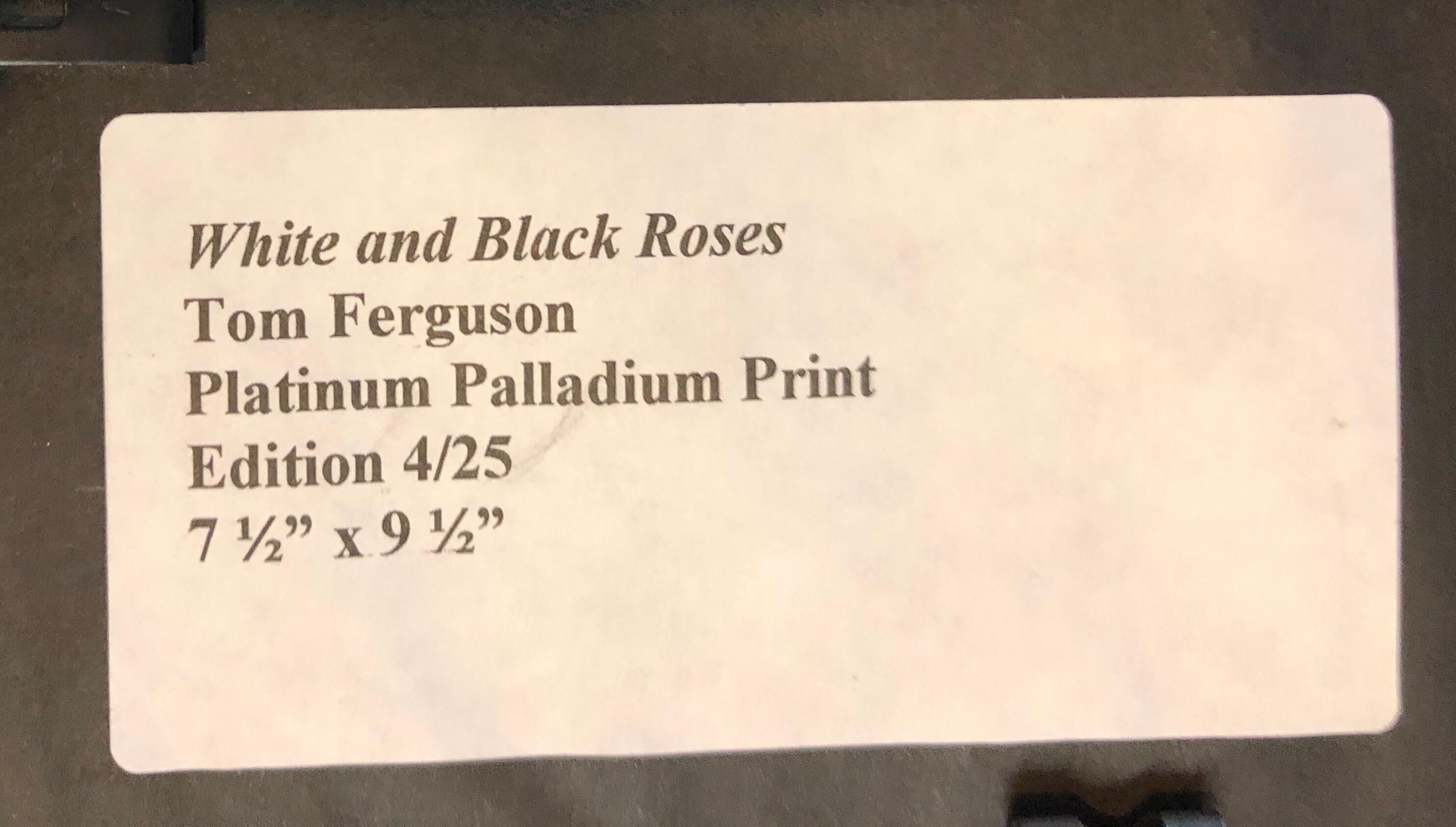 Dramatic White and Black Roses Platinum Palladium Print Photograph For Sale 2