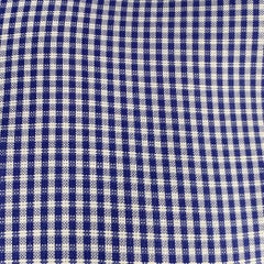 TOM FORD Size L Blue White Plaid Cotton Button Up Long Sleeve Shirt