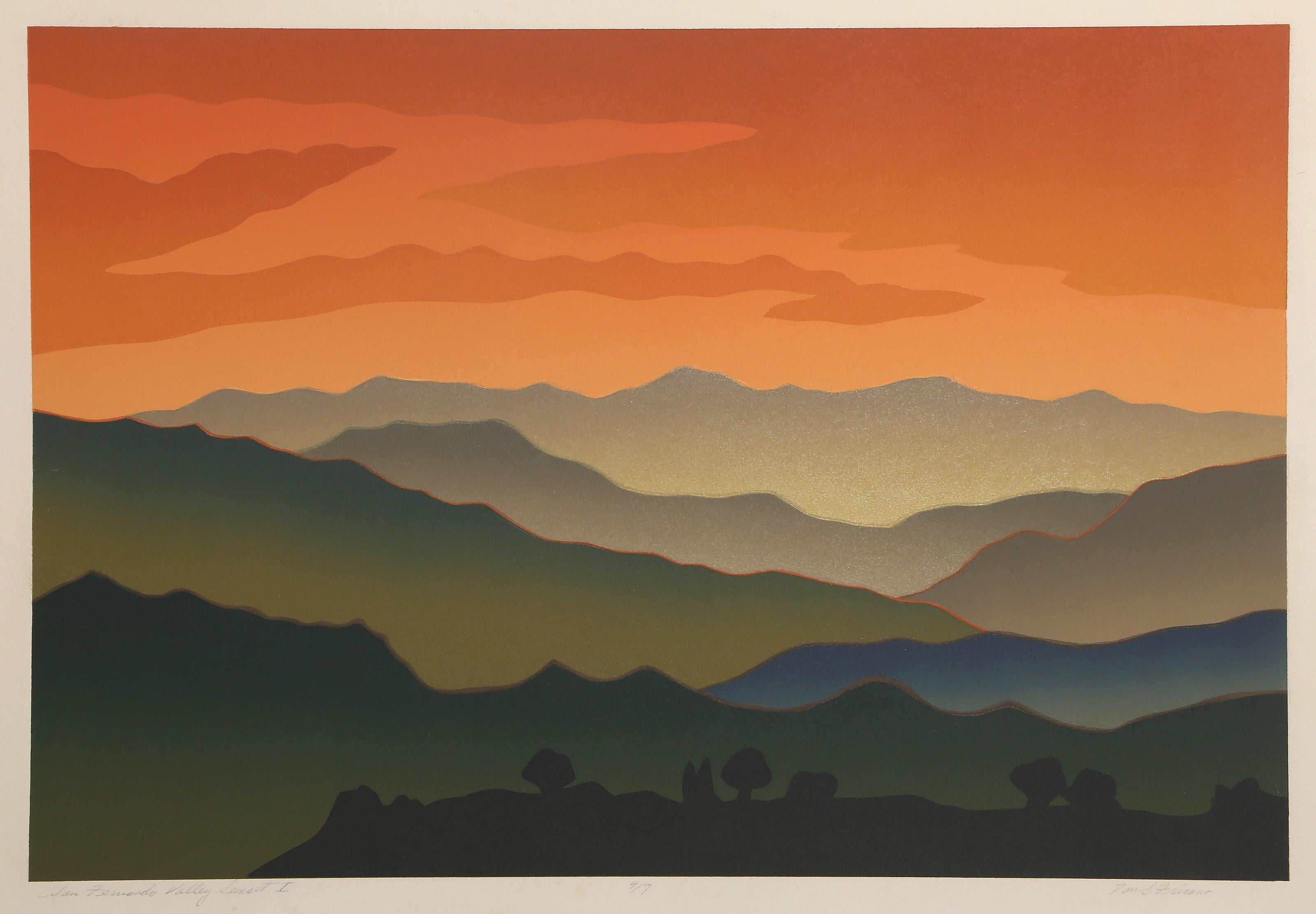 Tom Fricano Landscape Print - San Fernando Valley Sunset I Modern Etching w/ Aquatint by Tom Salvatore Fricano