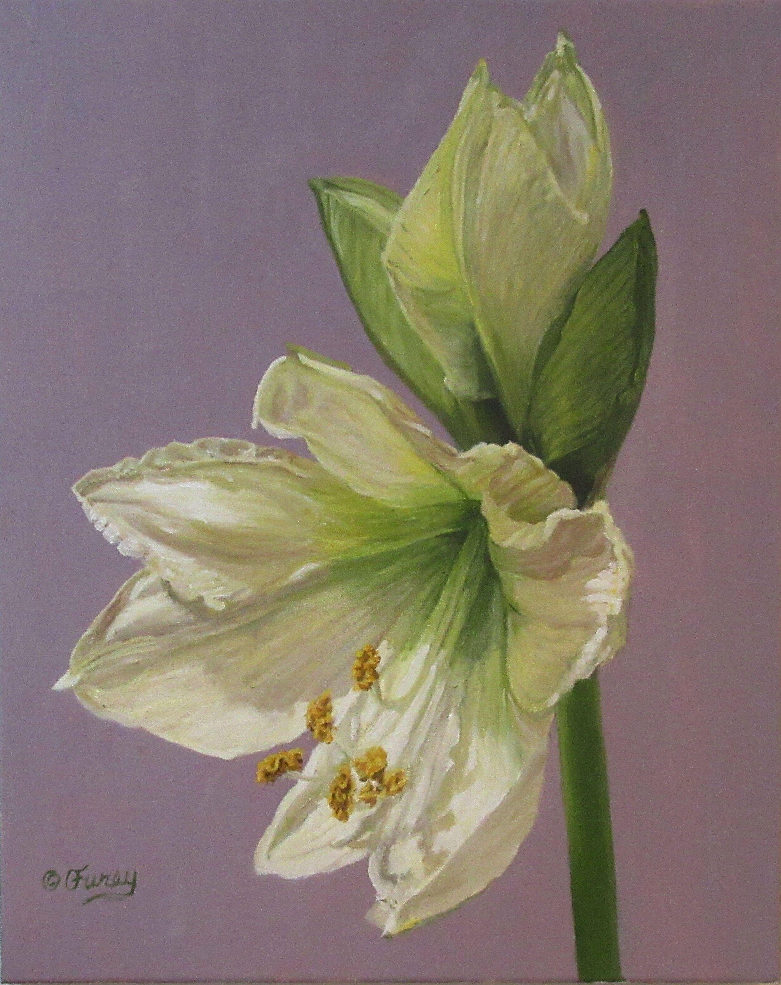 Guillermo, Pittura, Olio su tela - Painting di Tom Furey
