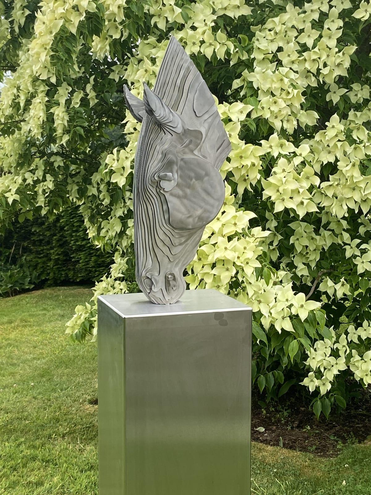 Mezzo: Acciaio inossidabile di grado marino 

Edizione di 8

____________________________________________________________________________

Tom Hiscocks è uno scultore il cui lavoro esplora i temi dell'identità, della percezione e della natura