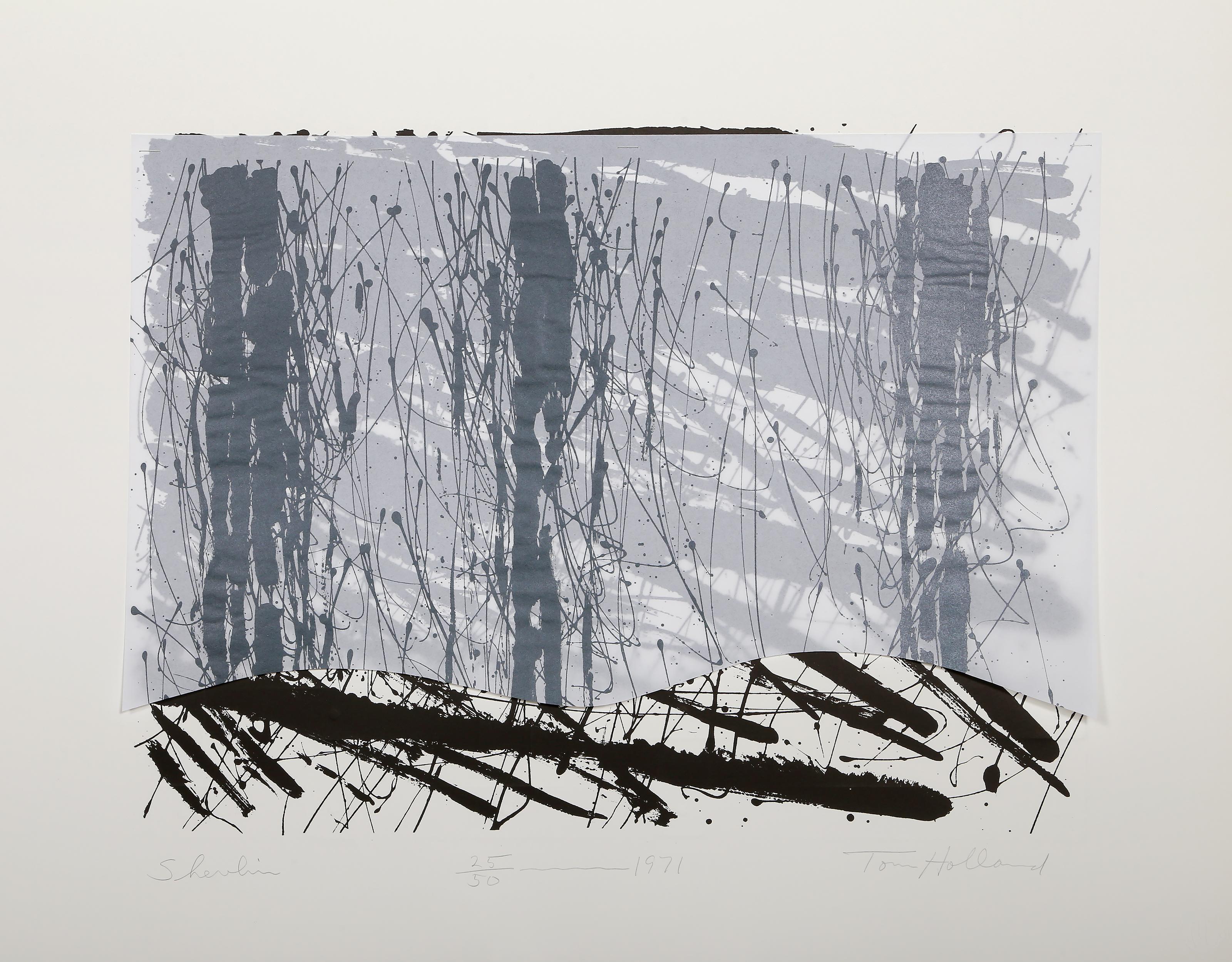 Shevlin, Abstract Screenprint with Collage by Tom Holland For Sale 1