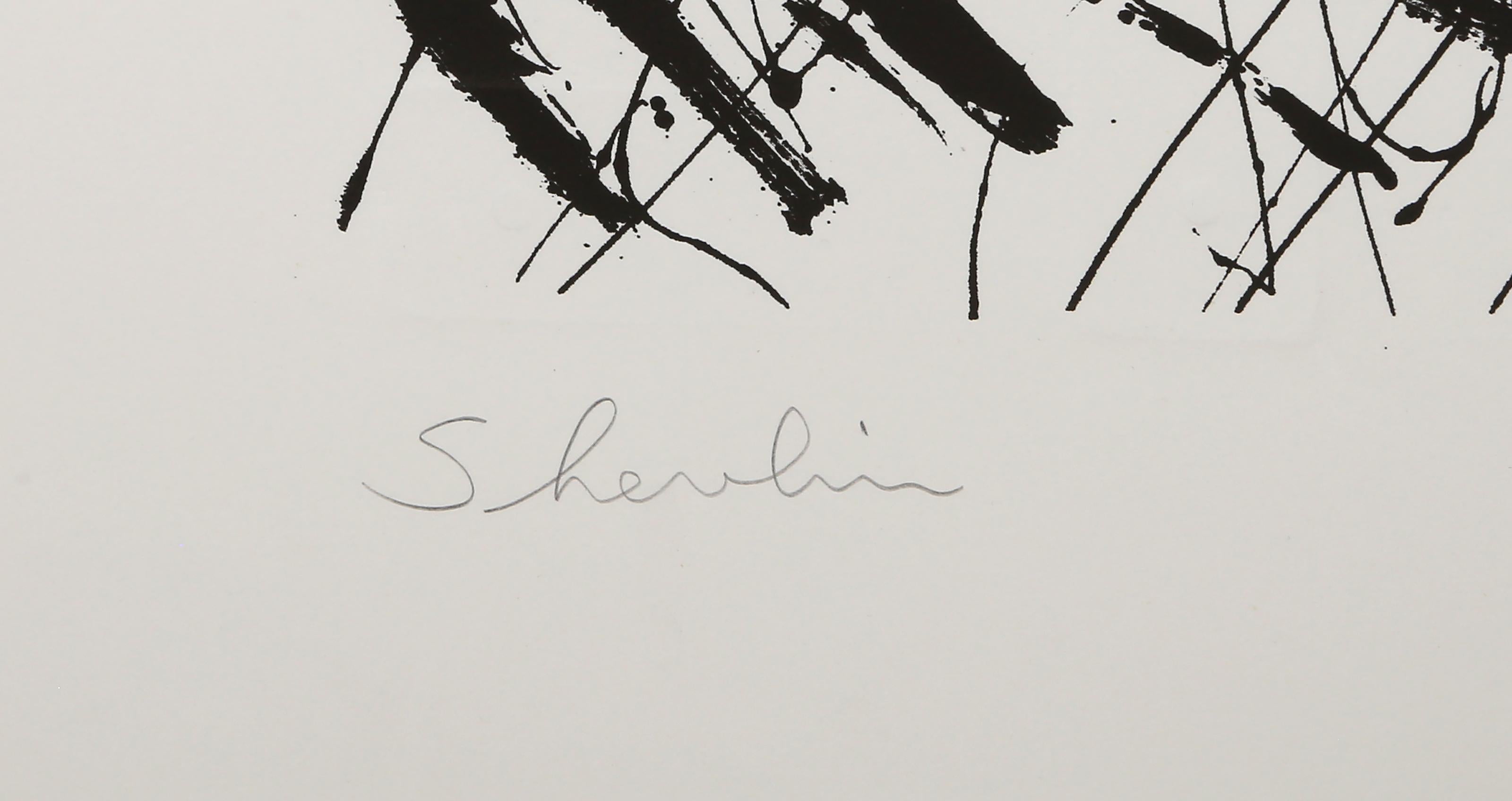 Shevlin, Abstract Screenprint with Collage by Tom Holland For Sale 4
