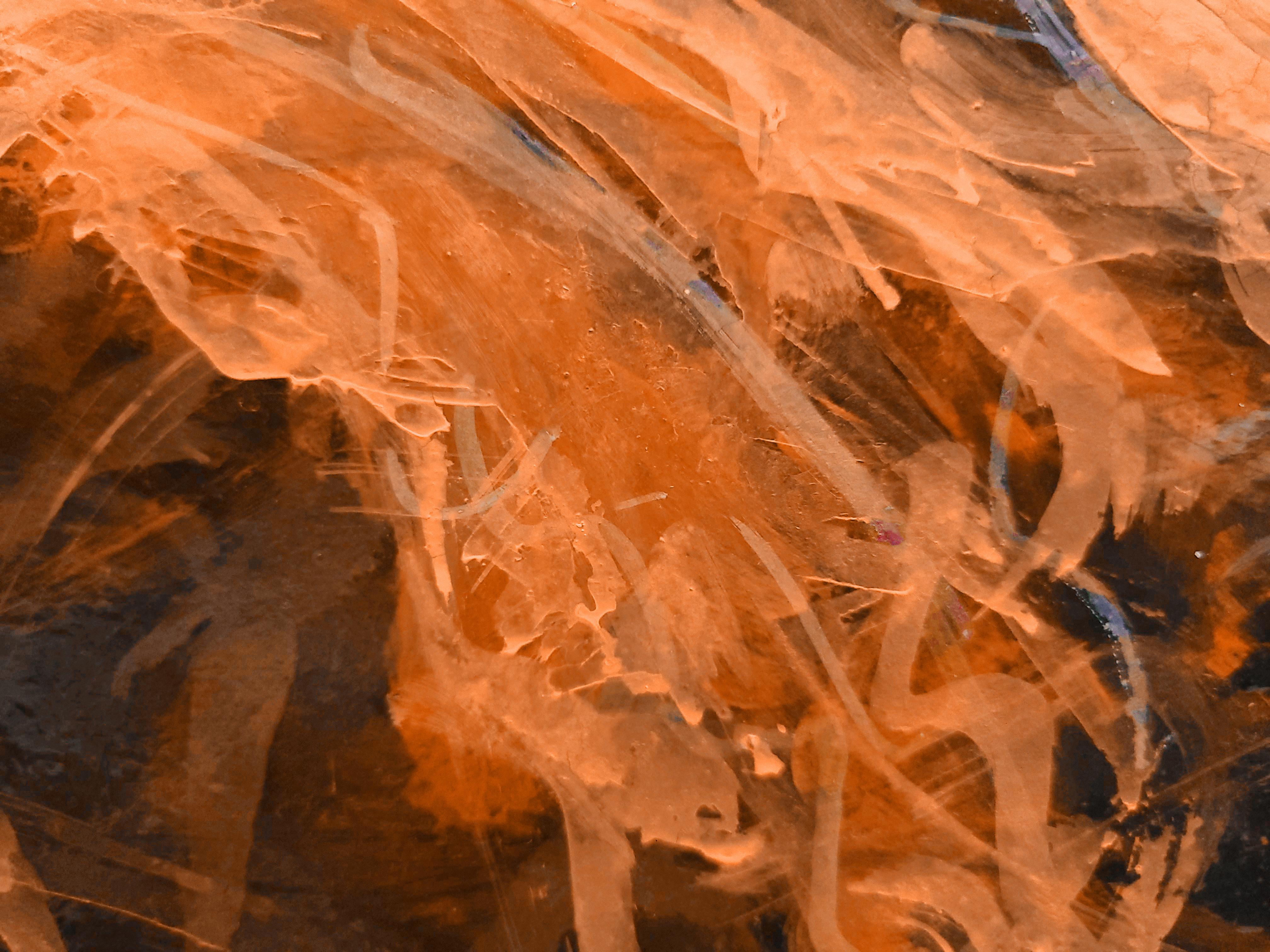 A volte, mentre cammino, un gruppo di colori cattura la mia attenzione sulla strada. Quell'anno era un autunno caldo e rimasi scioccato da quanto fosse ricco e profondo il colore delle foglie morte dell'acero giapponese.
Avvicinandomi, quasi