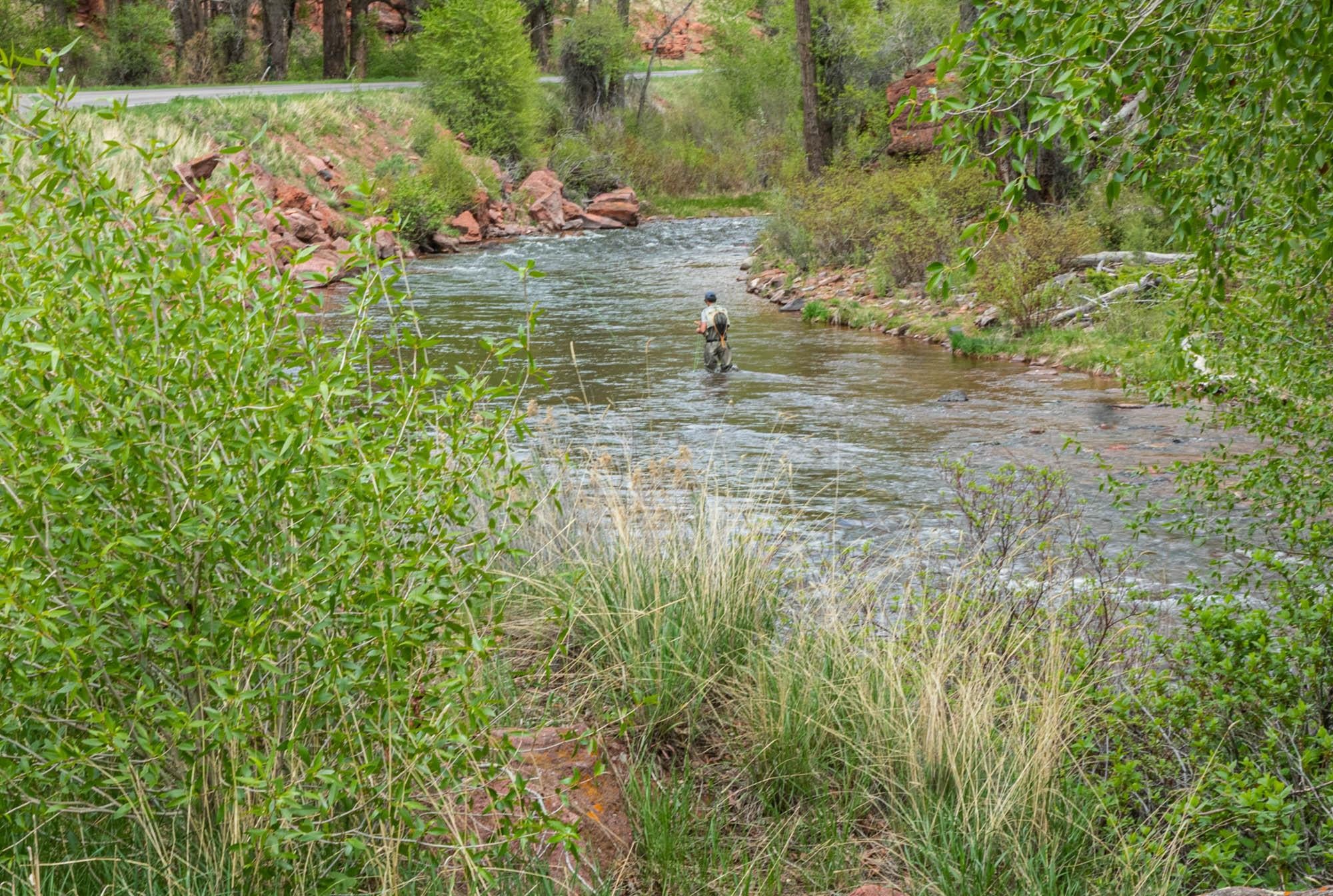 Tom Korologos Color Photograph - High on the Pan (photograph, Colorado, Frying Pan River, fly fishing, lush)