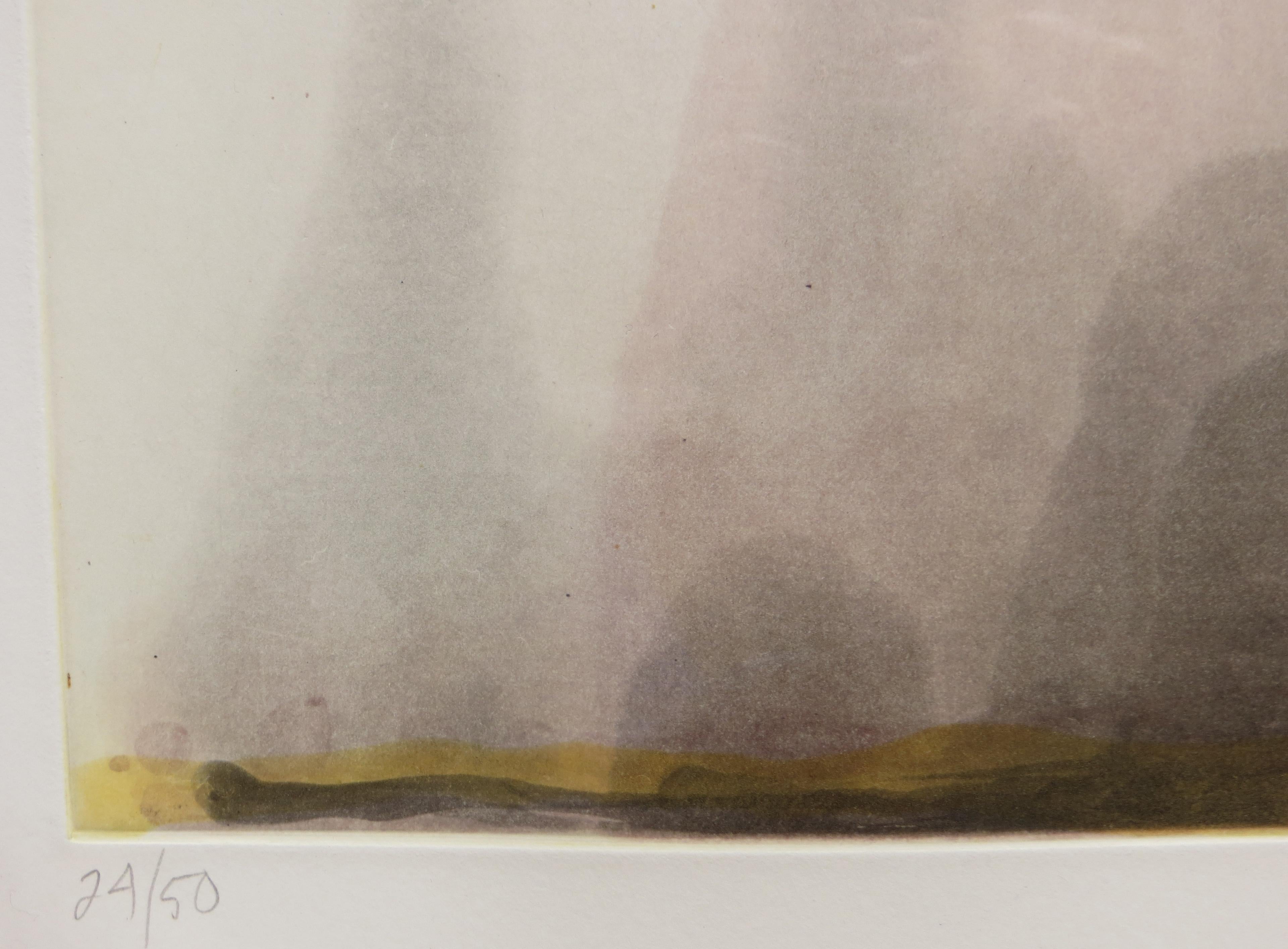 Artiste : Tom Marioni - Américain (1937- )
Titre : Paysage de processus 1998
Année : 1998
Médium : Aquatinte en couleur avec crachat
Taille de l'image : 15,75 x 10 pouces. 
Format du papier : 20 x 16 pouces 
Taille de l'encadrement : 21.75 x 17.75