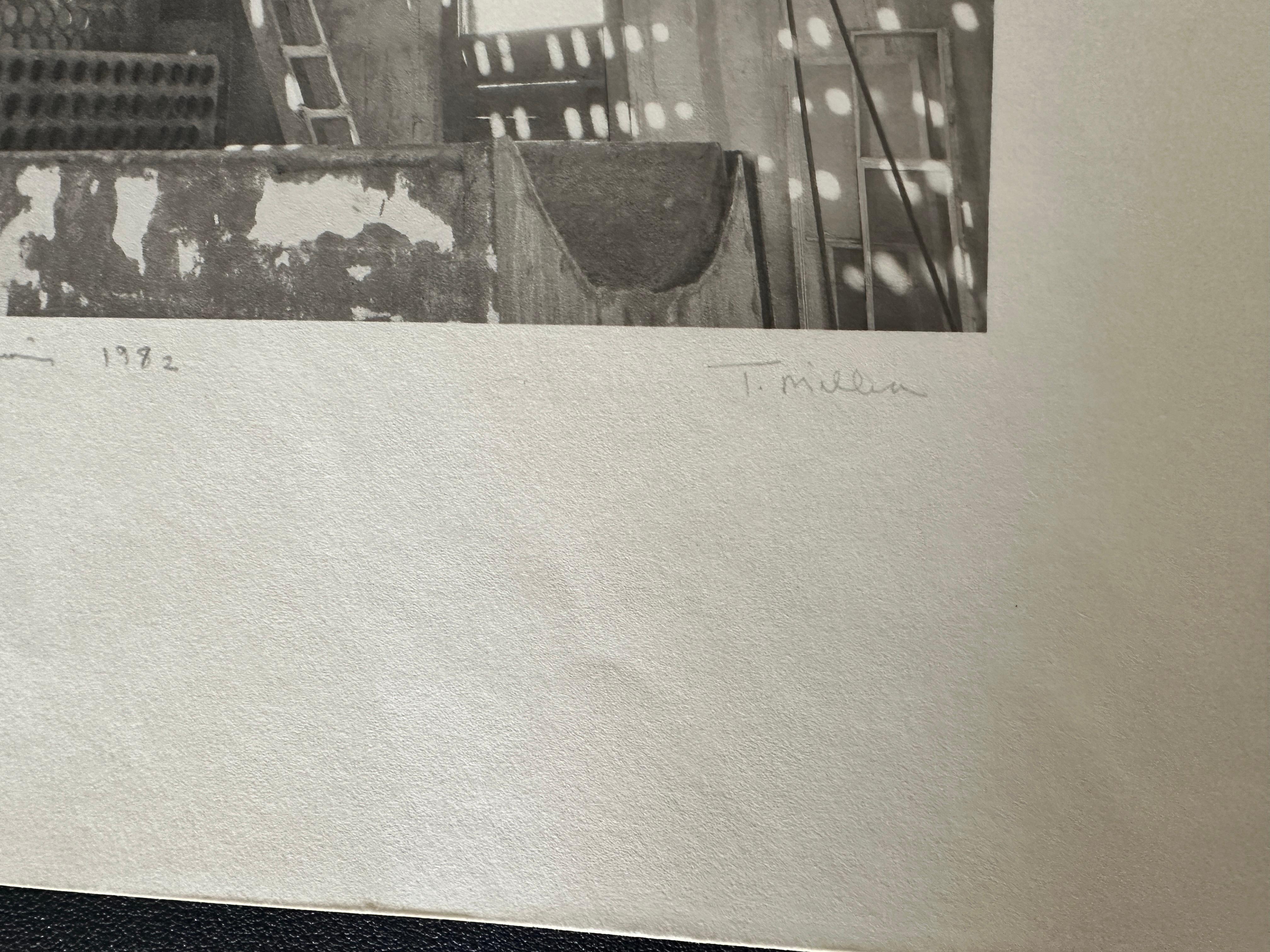 Photographie en platine imprimée à la main.
Tom Millea était bien connu pour ses travaux d'imprimerie.  Il aimait la Vallée de la Mort et en a même fait un portfolio.
Il s'agit d'une impression libre.