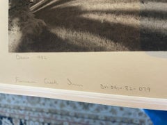 Oasis 1982 (Furnace Creek Inn)