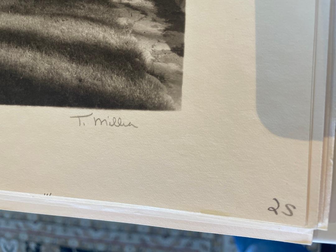 Oasis 1982 (Furnace Creek Inn) - Marron Landscape Photograph par Tom Millea