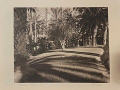 Vintage Oasis 1982 (Furnace Creek Inn)