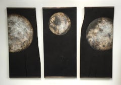 Quercus - Wall Mounted Moon Triptych