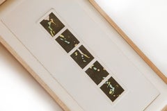 Autour de Paul Cezanne