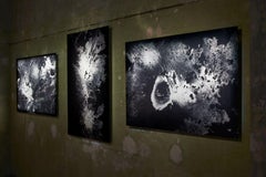 CC #2 by Tom Price - Print on aluminium, black, carbon