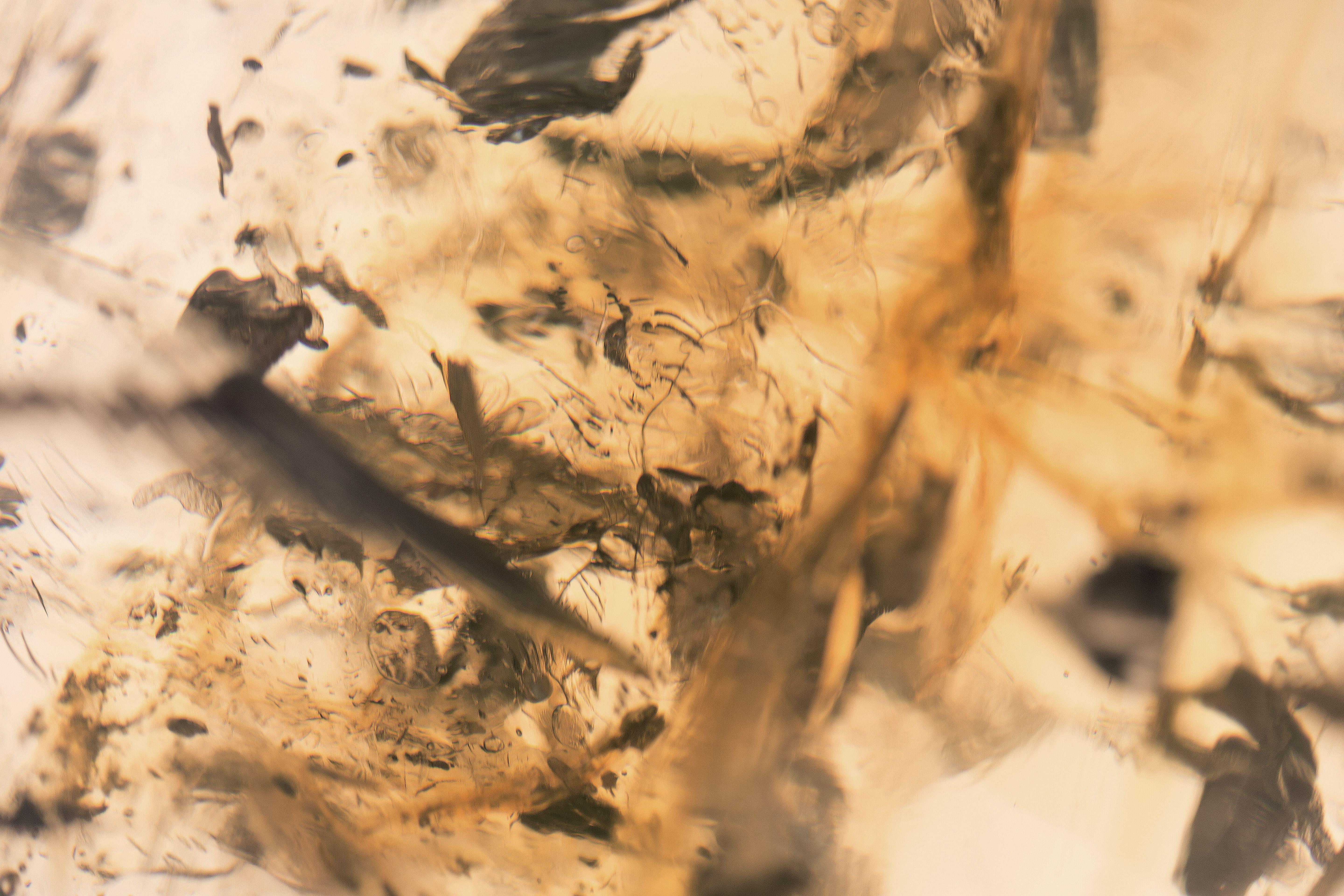 Counterpart by Tom Price - pair of functional sculpture (benches), art & design For Sale 7