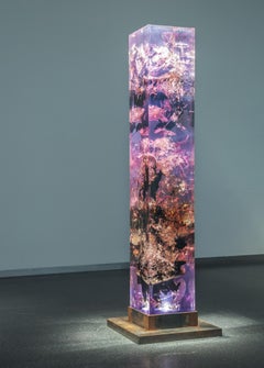 Synthesis 1 de Tom Price - Sculpture et éclairage, LED, original, abstrait, rose