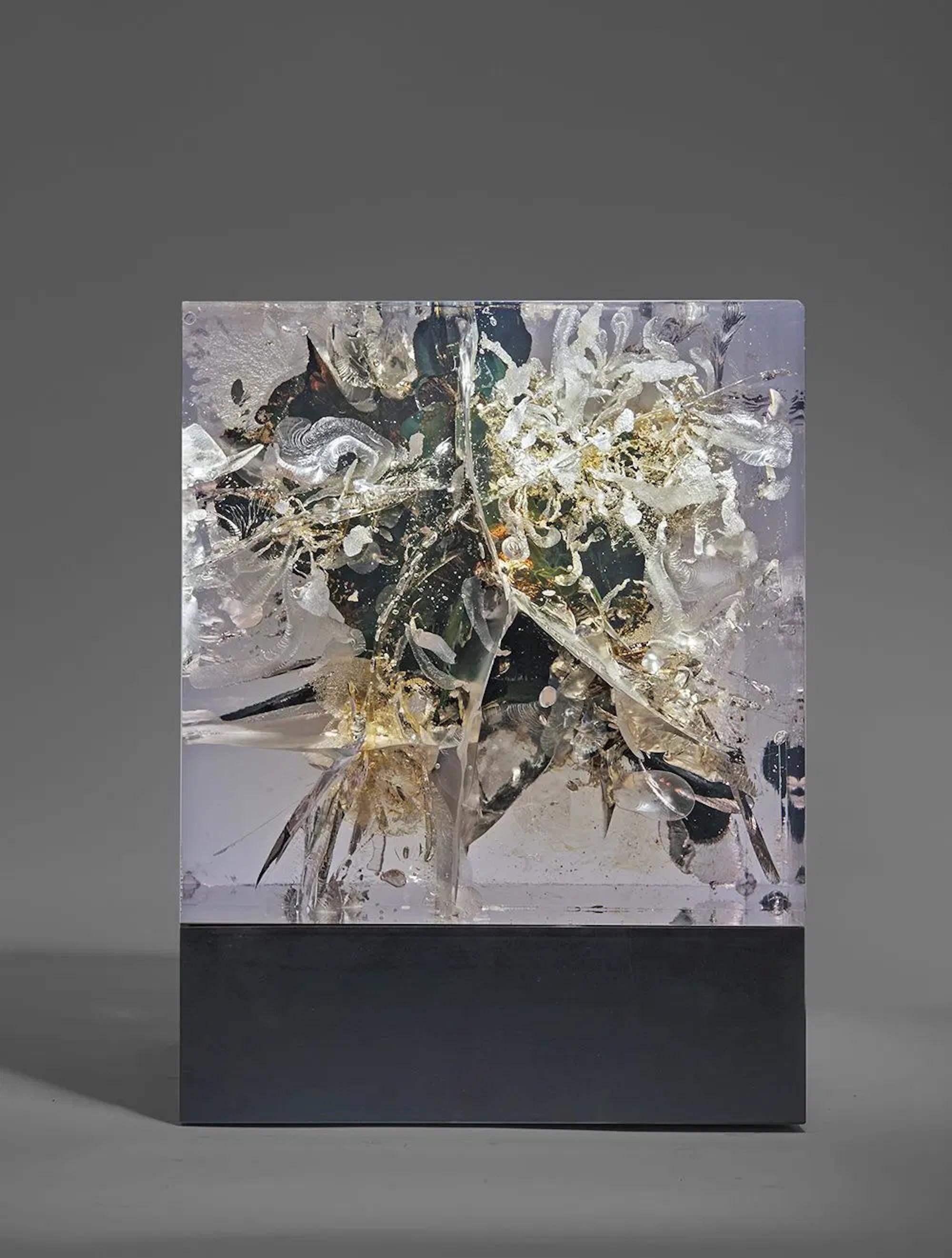 Synthesis C1 ist eine Skulptur des englischen Künstlers Tom Price. Harz, Teer, Stahl, Acryl, LED. 41,5 cm × 31,5 cm × 28,8 cm. Die Abmessungen umfassen den Sockel der Skulptur.

Dieses Kunstwerk ist als Auftragsarbeit erhältlich. Sie wird auf der