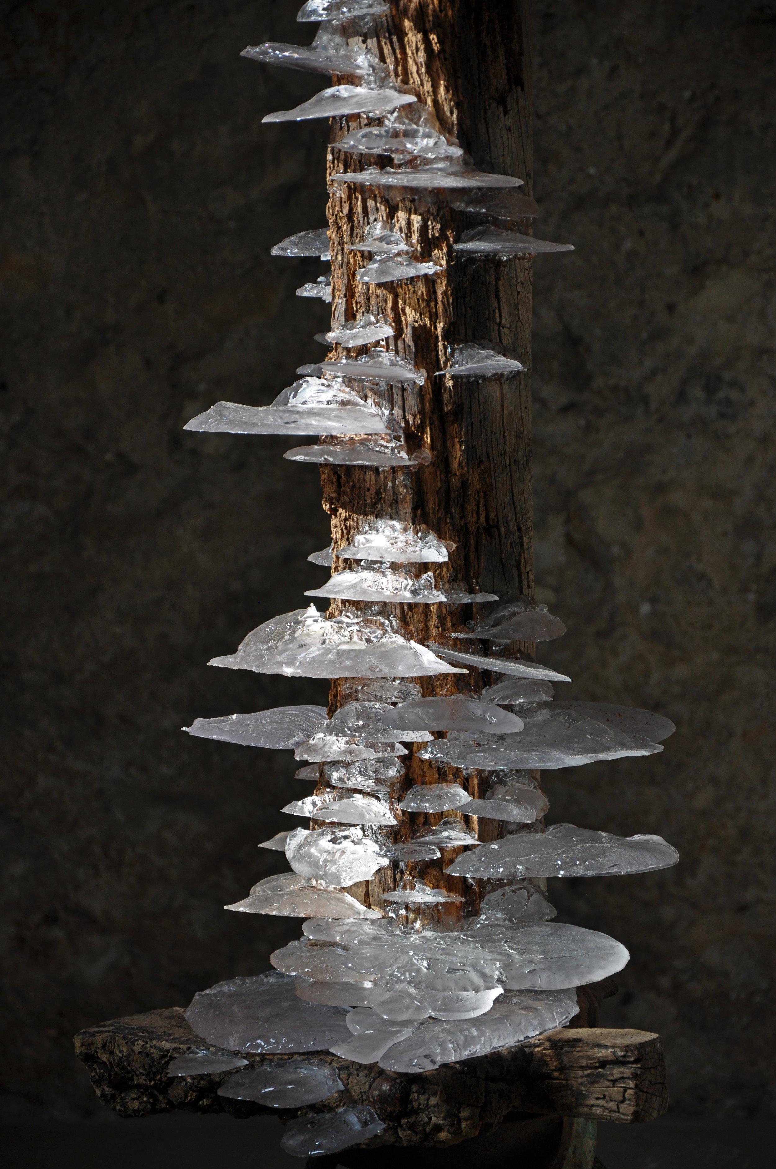 Viga 1, 2, 3 & 4 by Tom Price - Abstract sculpture, wood, steel, resin, column For Sale 8