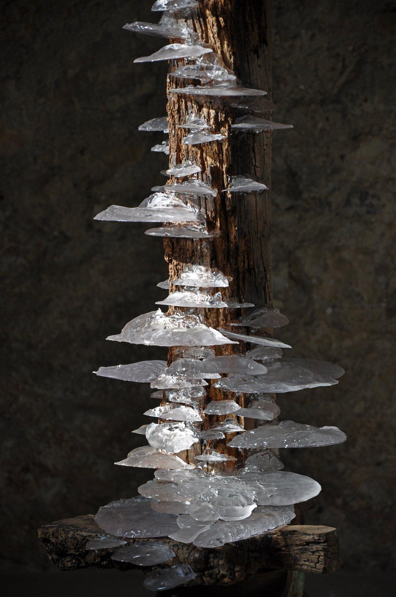 Viga 3 by Tom Price - Abstract sculpture, wood, resin, synthetic, mineral, life For Sale 1