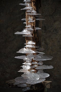 Viga 3 by Tom Price - Abstract sculpture, wood, resin, synthetic, mineral, life