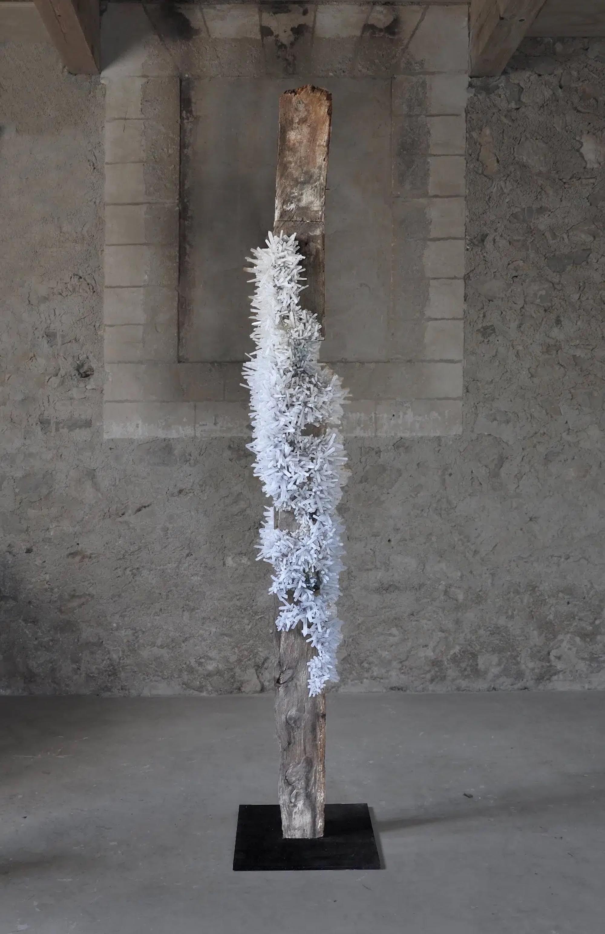 Viga 4 di Tom Price - Scultura astratta, legno, resina, sintetico, minerale, vita