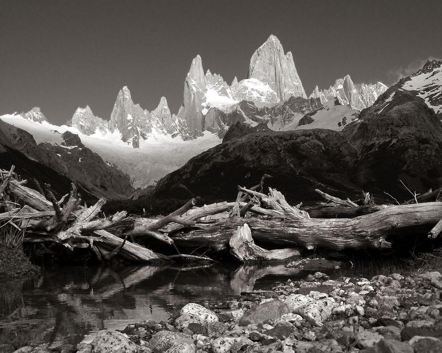 Tom Reed Black and White Photograph - El ChaltÃCn and Driftwood, Photograph, Archival Ink Jet
