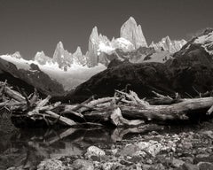 El ChaltÃCn and Driftwood, Photograph, Archival Ink Jet