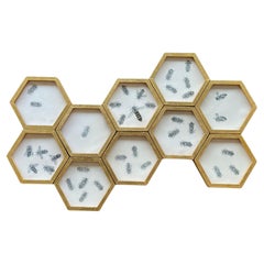 Tom Rooth "Honeycomb" Wall Sculpture - Céramique faite à la main et cadres dorés à l'or fin 23,5k