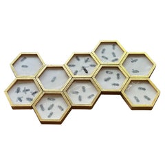 Tom Rooth “Honeycomb” Wall Sculpture — Handmade Ceramic & 23.5k Gold Gilt Frames