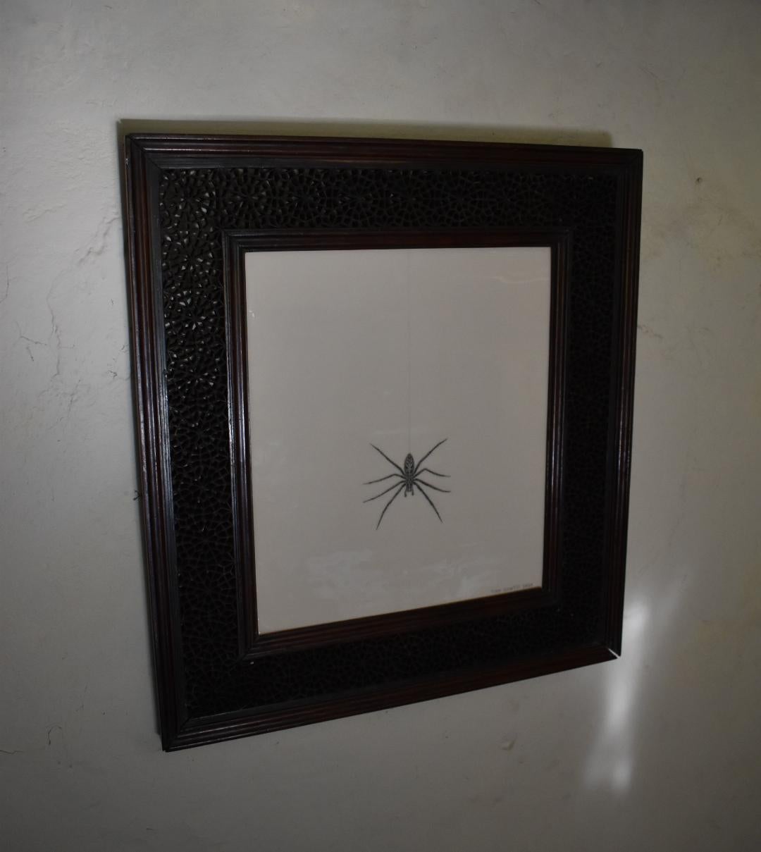 A giant house spider, in a hand-carved spiderweb patterned frame, circa 1880 - Contemporary Mixed Media Art by Tom Rooth