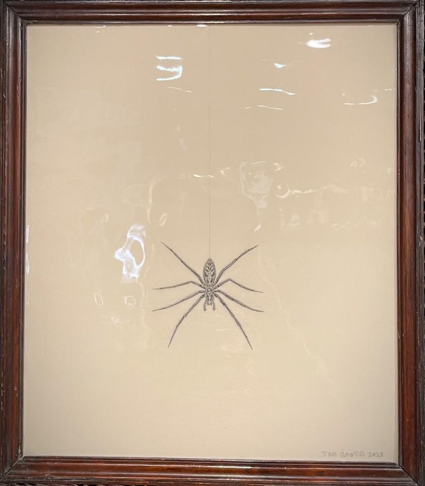 A giant house spider, in a hand-carved spiderweb patterned frame, circa 1880 For Sale 1