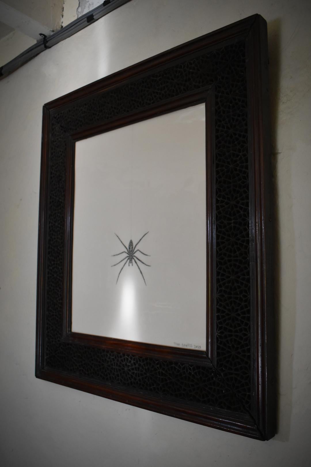 A giant house spider, in a hand-carved spiderweb patterned frame, circa 1880 For Sale 3