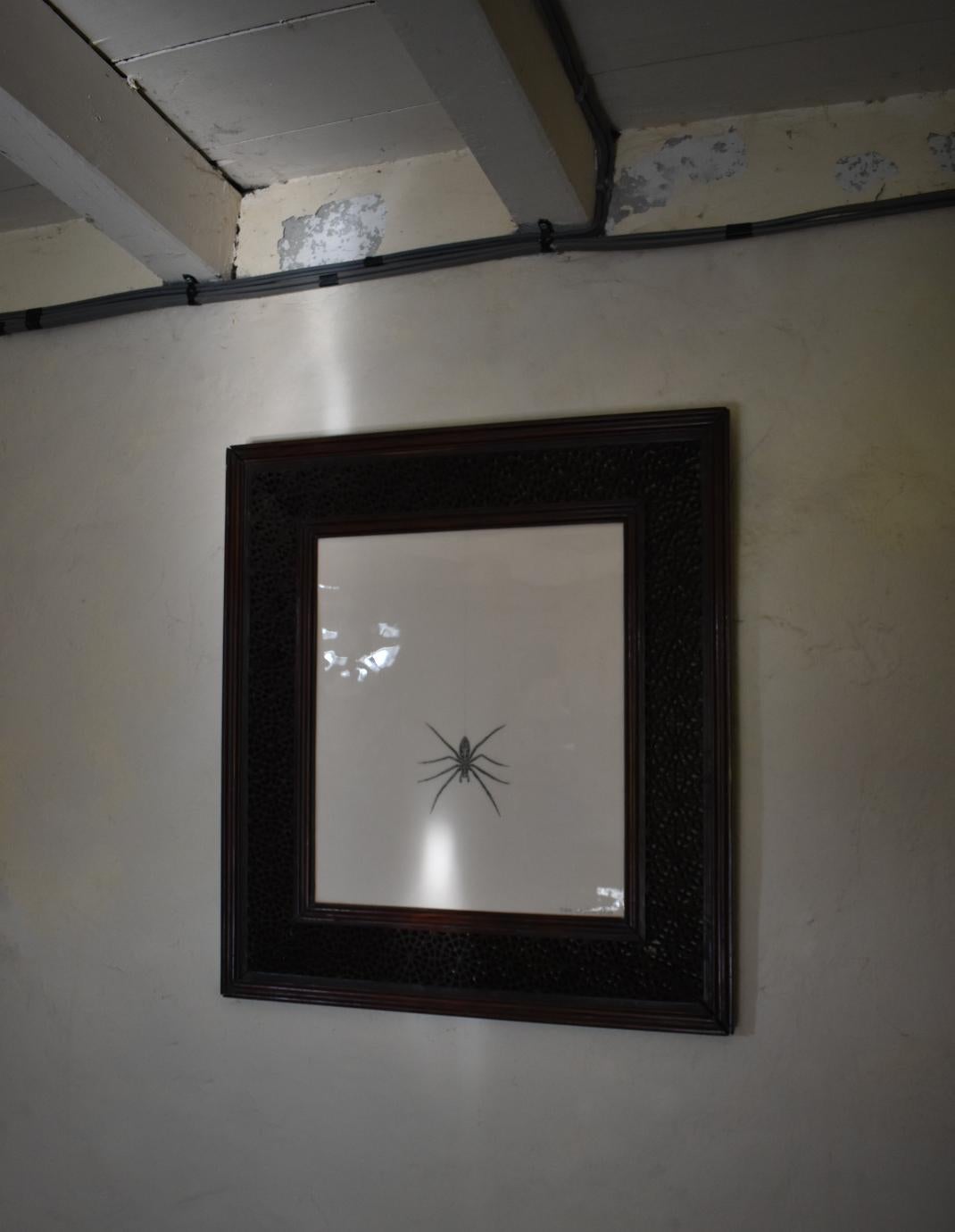 A giant house spider, in a hand-carved spiderweb patterned frame, circa 1880 - Mixed Media Art by Tom Rooth