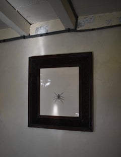 Riesige Hausspinne, in einem handgeschnitzten Rahmen mit Spinnennetzmuster, um 1880