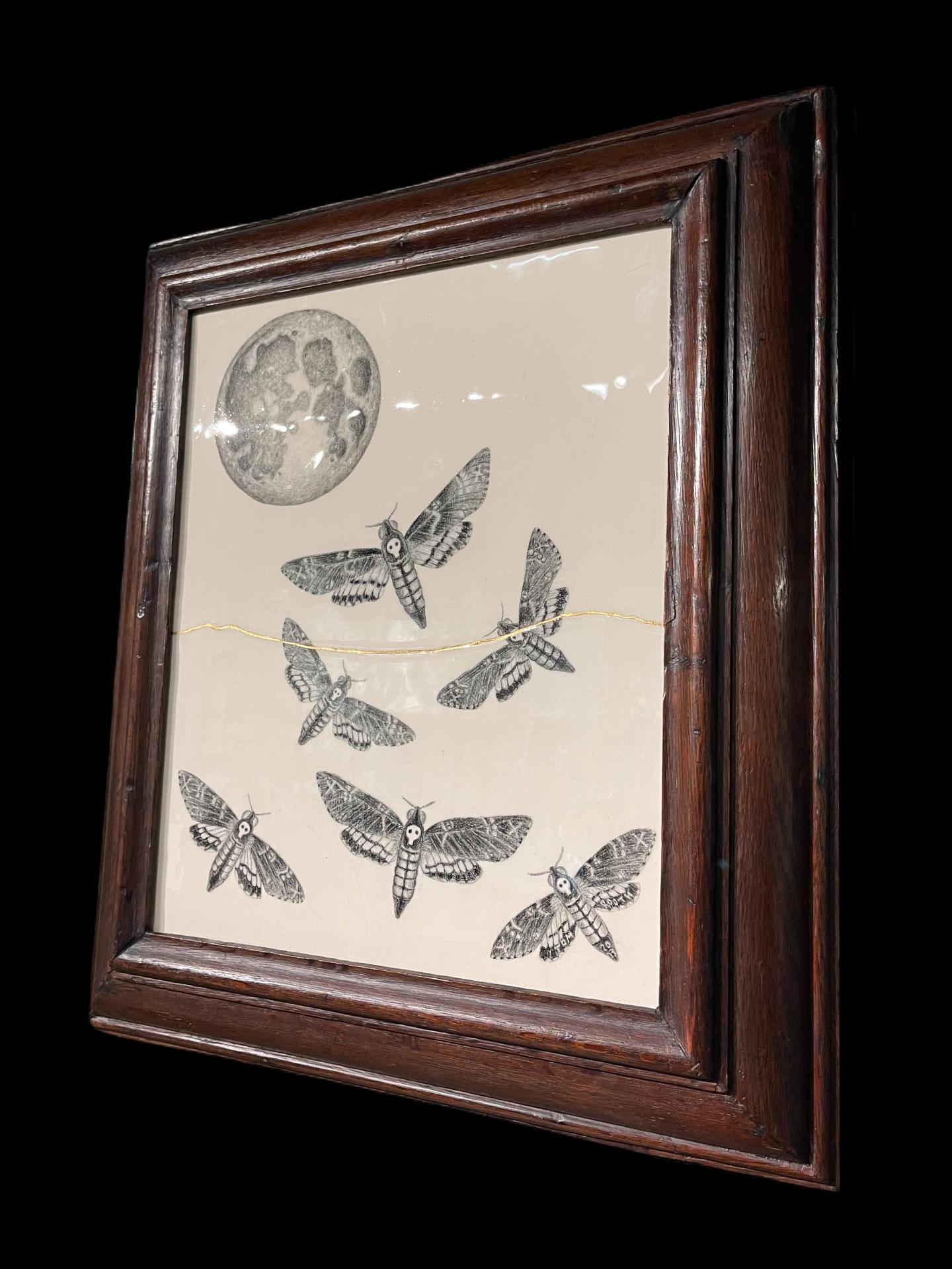 Death's head moths under a full-moon, presented in a hand-carved c1880 oak frame - Realist Mixed Media Art by Tom Rooth