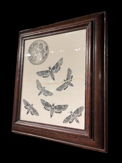 Death's head moths under a full-moon, presented in a hand-carved c1880 oak frame