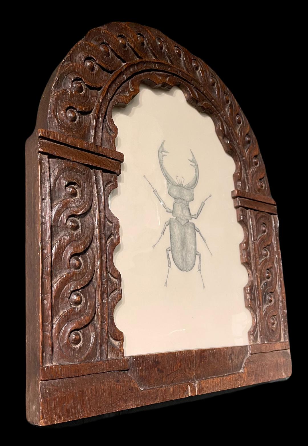 Stag beetle, presented in an English, 17th Century hand-carved oak frame - Realist Mixed Media Art by Tom Rooth