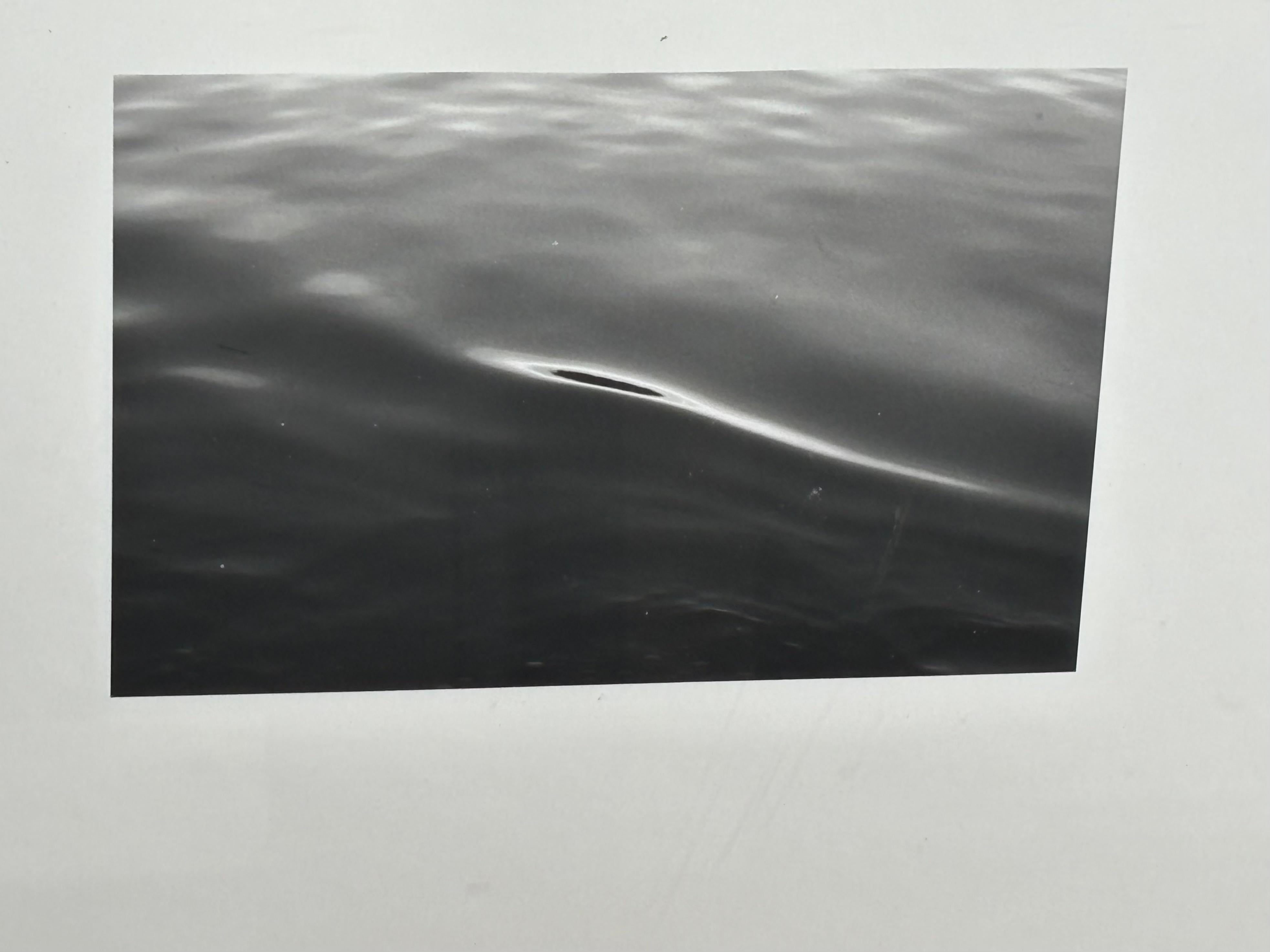 Très belle et paisible image de l'artiste norvégien bien connu Tom Sandberg. L'image est de 6 x 9.5 pouces et la feuille complète est de 16 x 20 pouces. Signé au verso également 1980 et 35/50. Cette œuvre est enregistrée dans des livres d'artistes. 