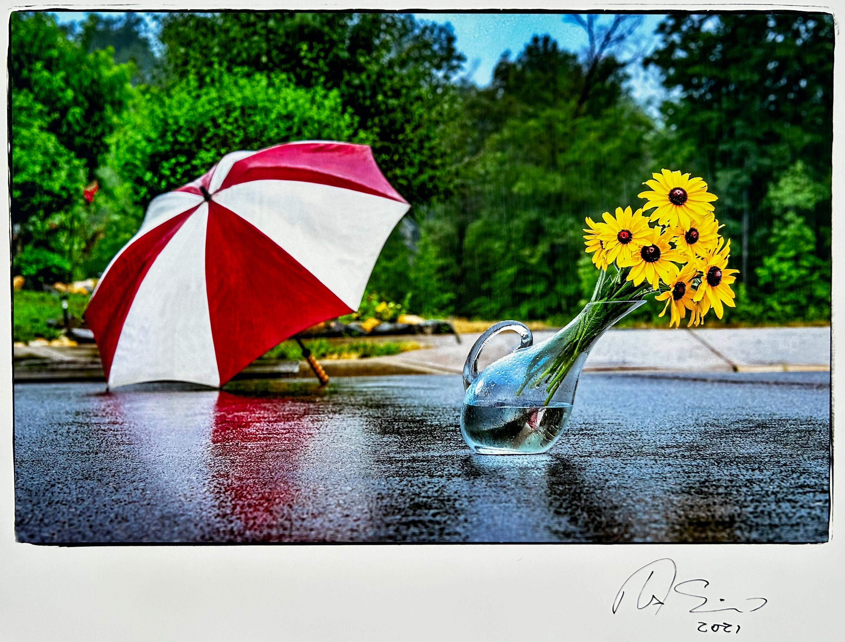 Savoir après la pluie - Photograph de Tom Sauerwein 