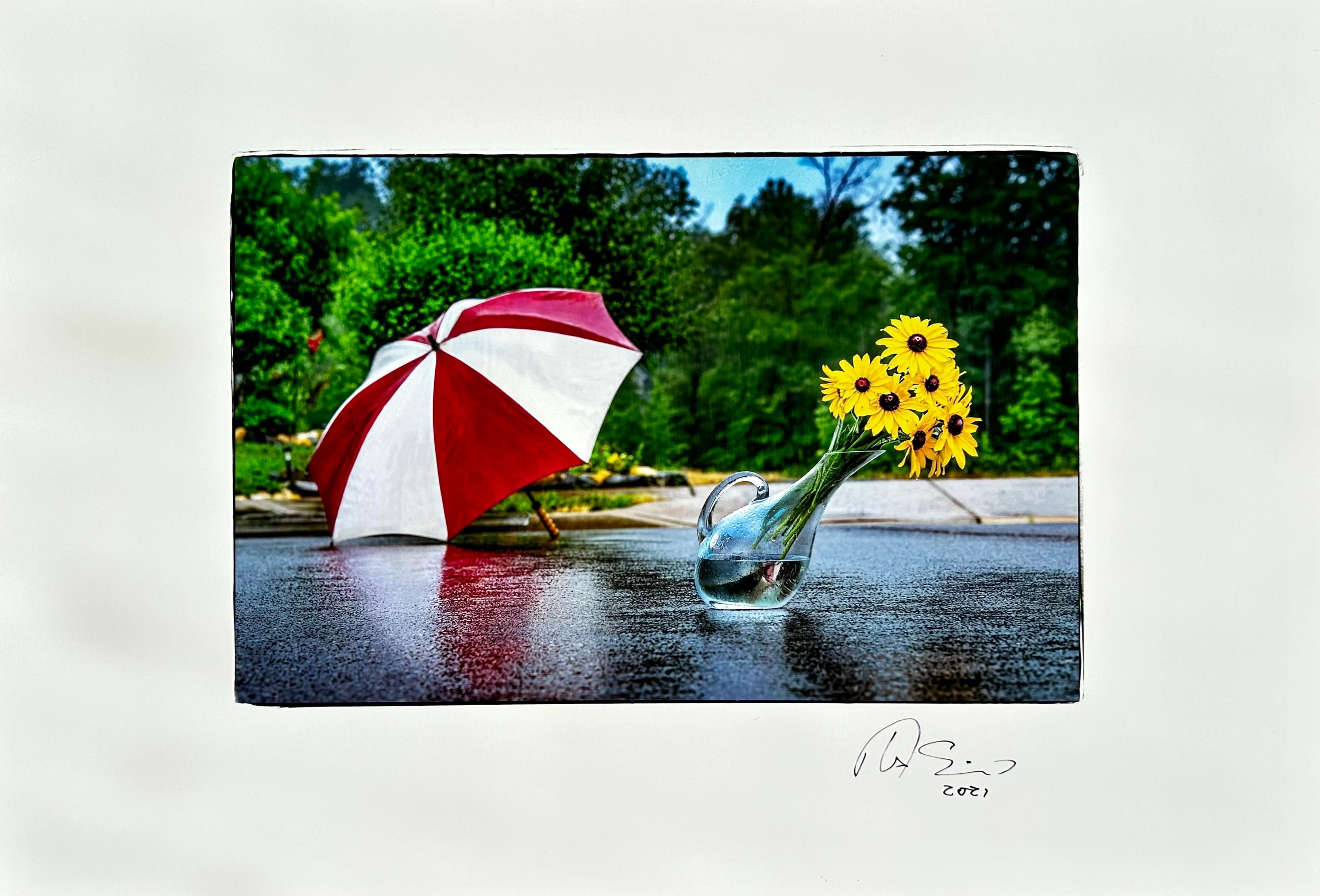 Still-Life Photograph Tom Sauerwein  - Savoir après la pluie
