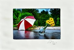After the Rain