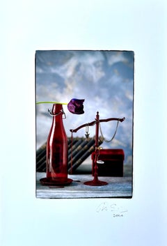 Paper Still-life Photography