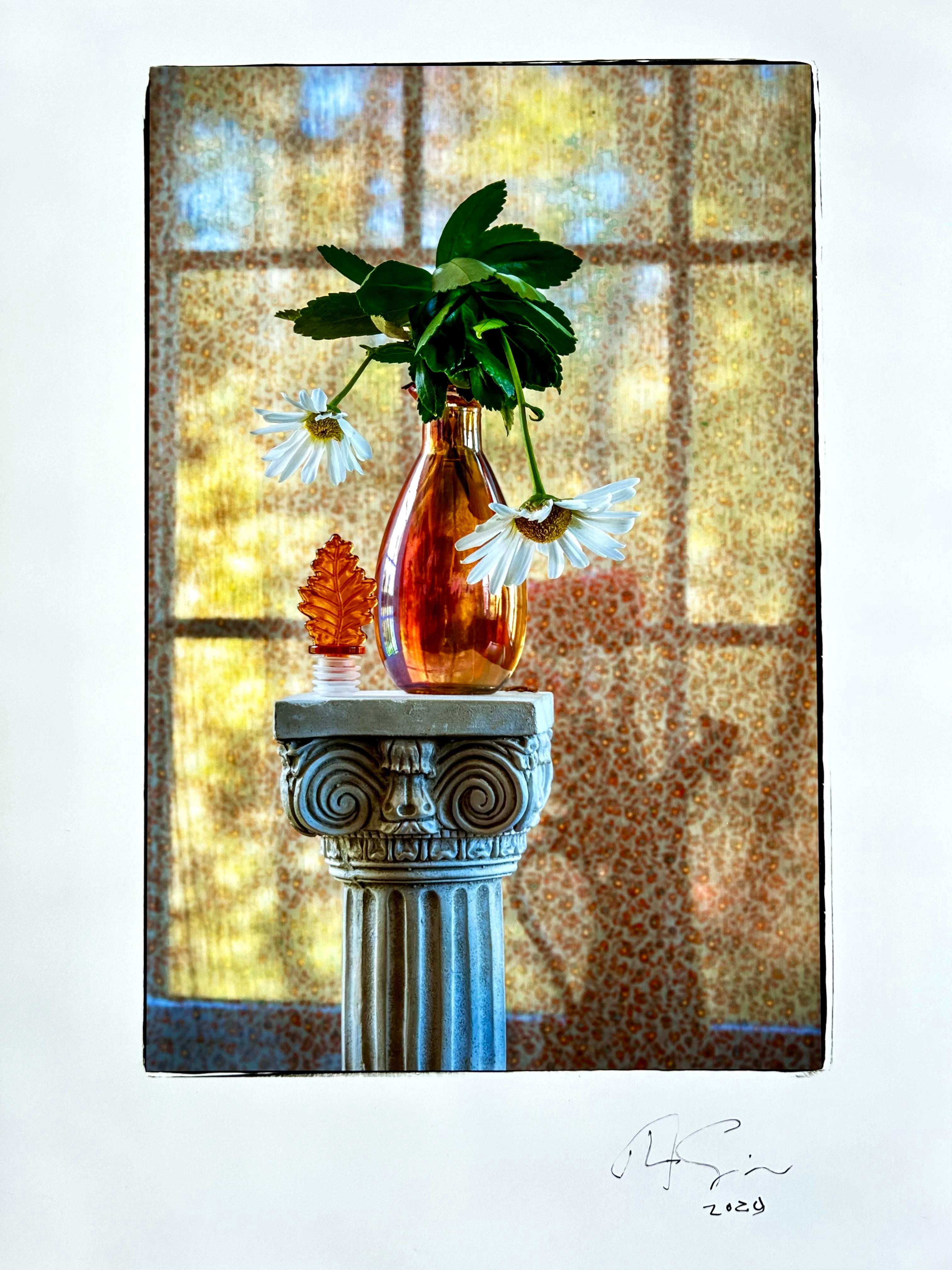 Arrangement floral de fin d'après-midi - Photograph de Tom Sauerwein 