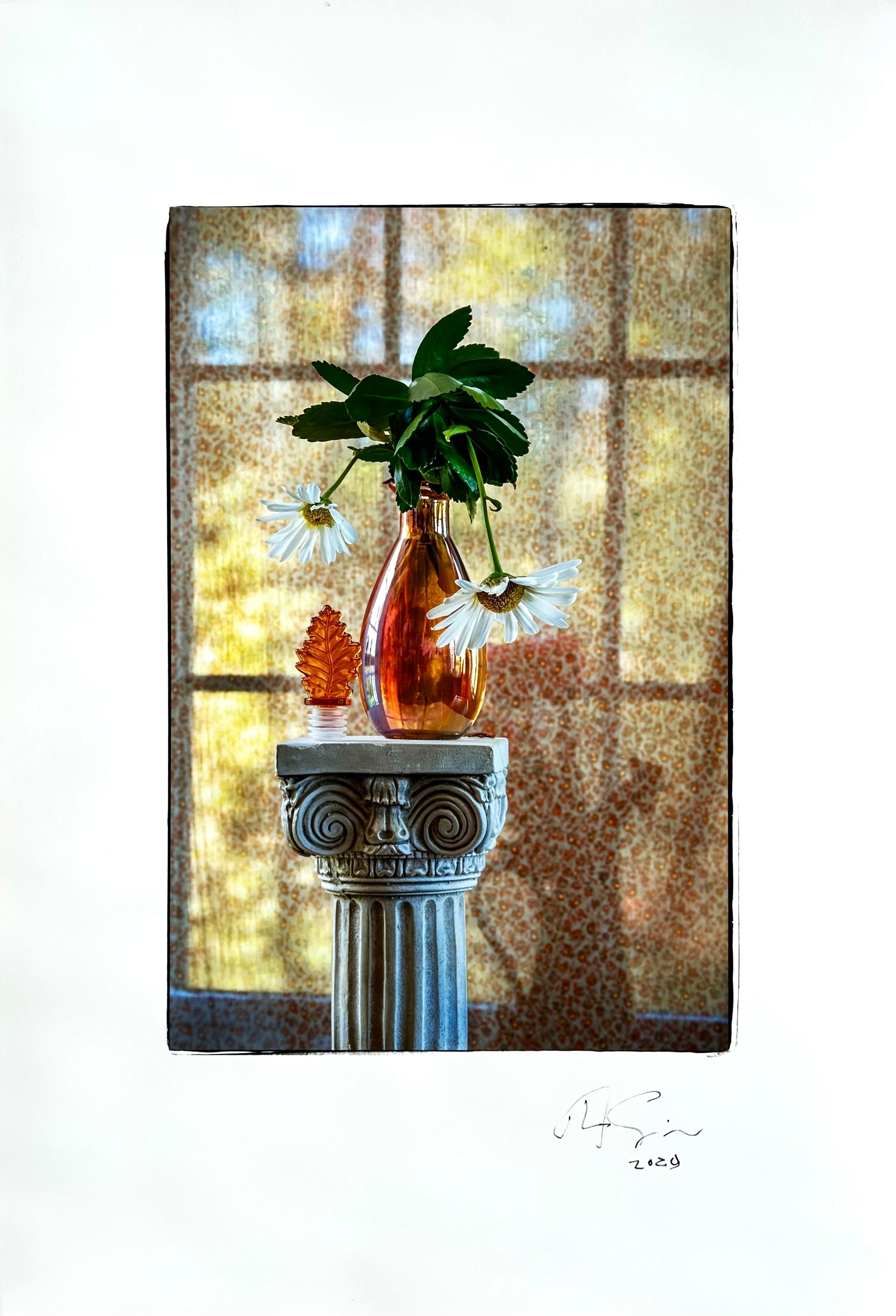 Still-Life Photograph Tom Sauerwein  - Arrangement floral de fin d'après-midi