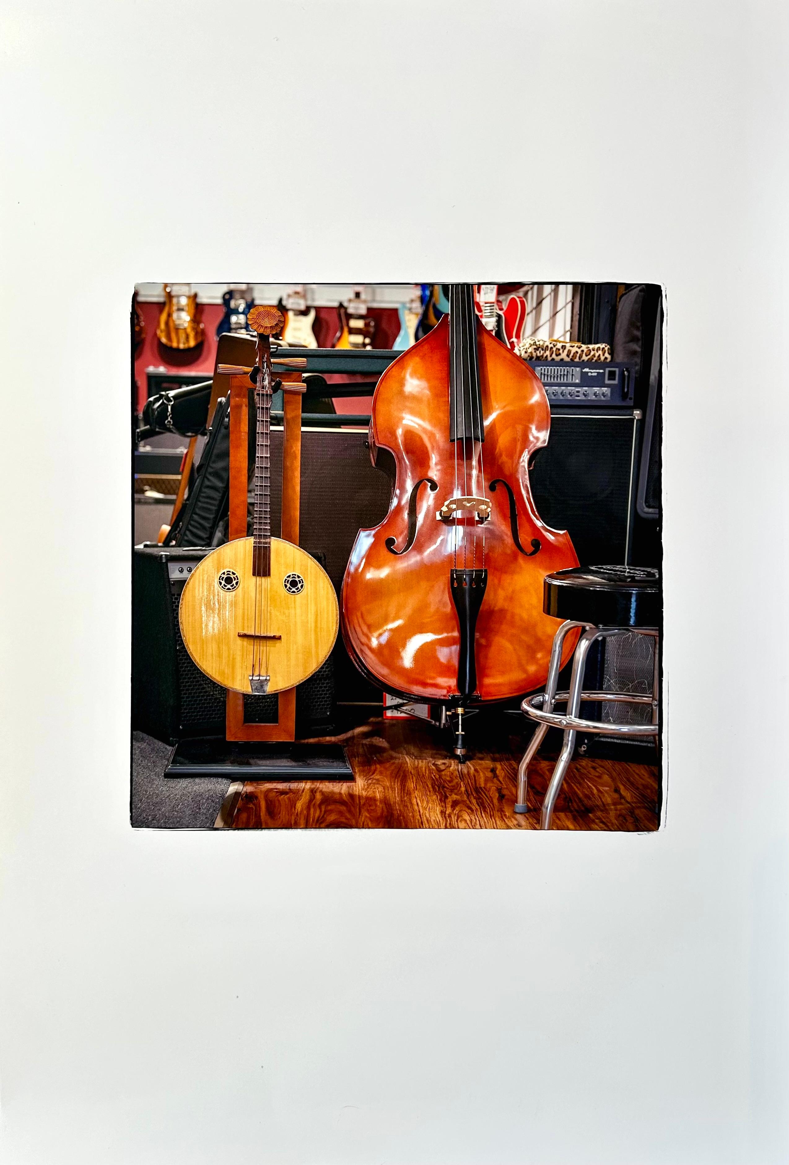 Tom Sauerwein  Still-Life Photograph - Photograph of String Instruments in Music Store titled "Strings of the City"