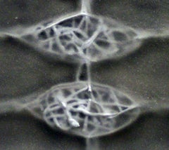 Cobweb 23 : small abstract work of art