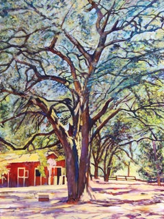 "Sonoma Oak" Grand Old Tree with Colorful Shadows