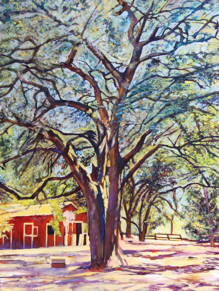 Tom Swimm Sonoma Oak Grand Old Tree With Colorful Shadows For