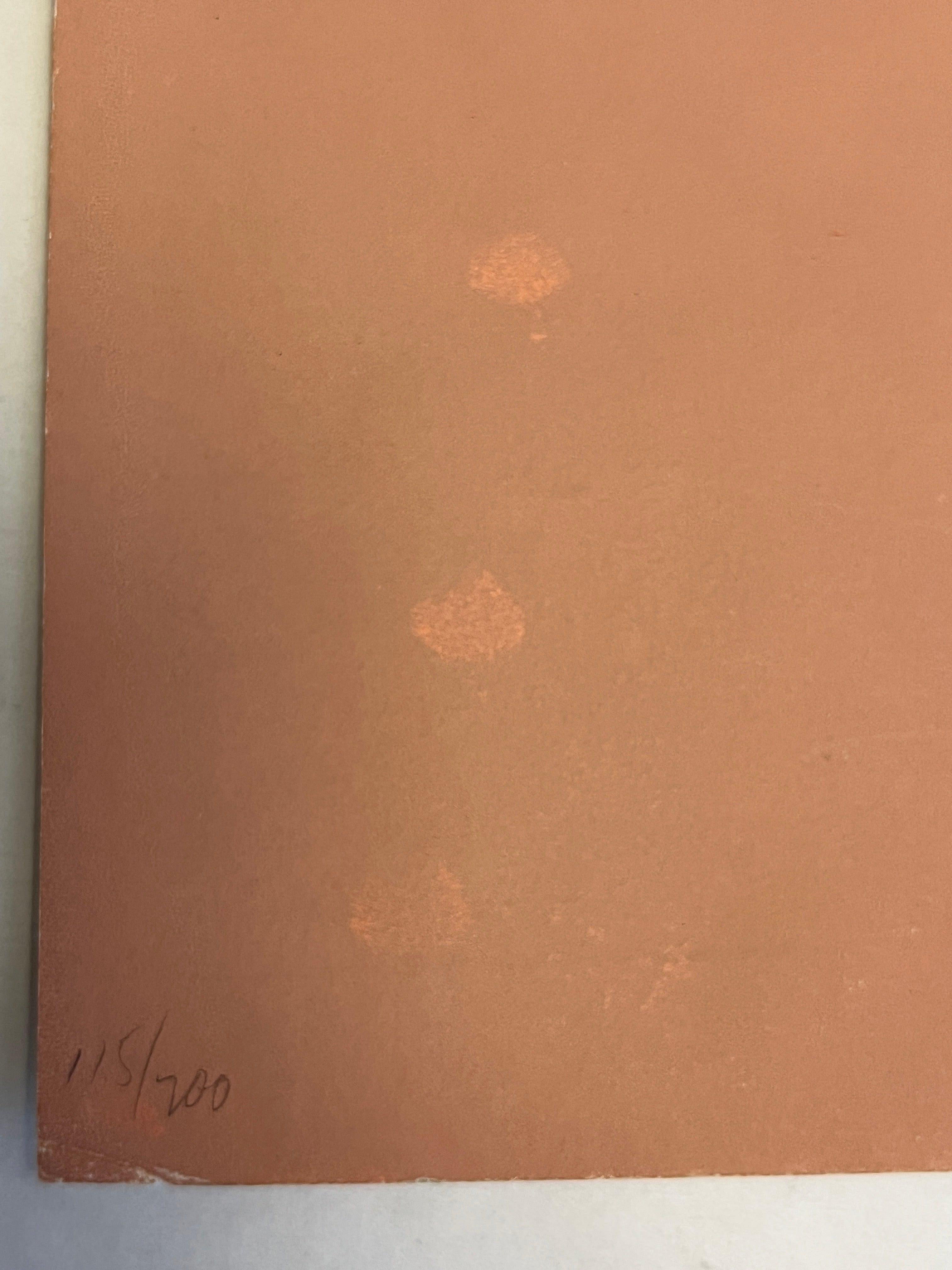 Nackt (Pop-Art), Print, von Tom Wesselmann