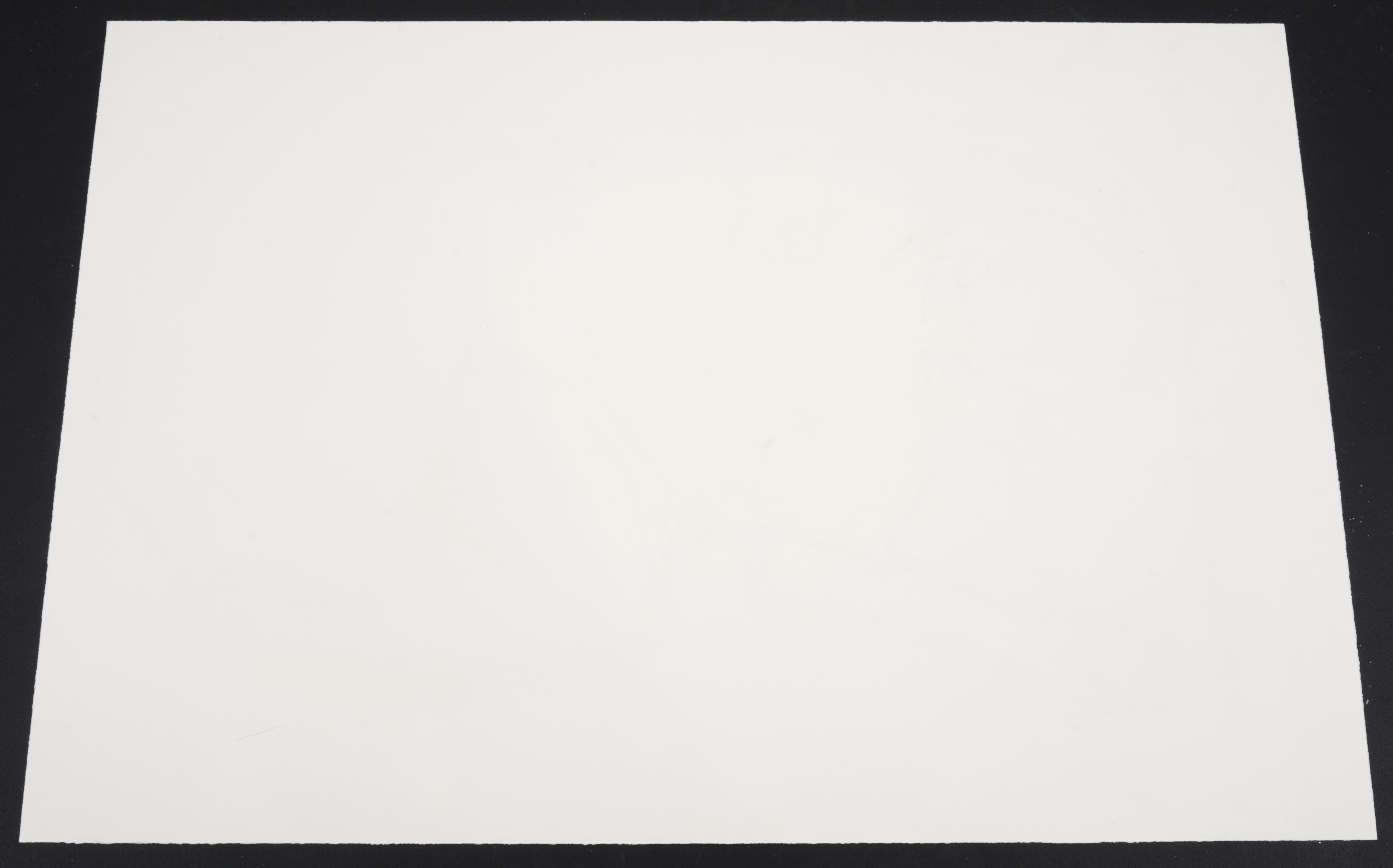 Tom Wesselmann MONICA LIEGT AUF DER SEITE MIT KREUZ Lithografie, 61 