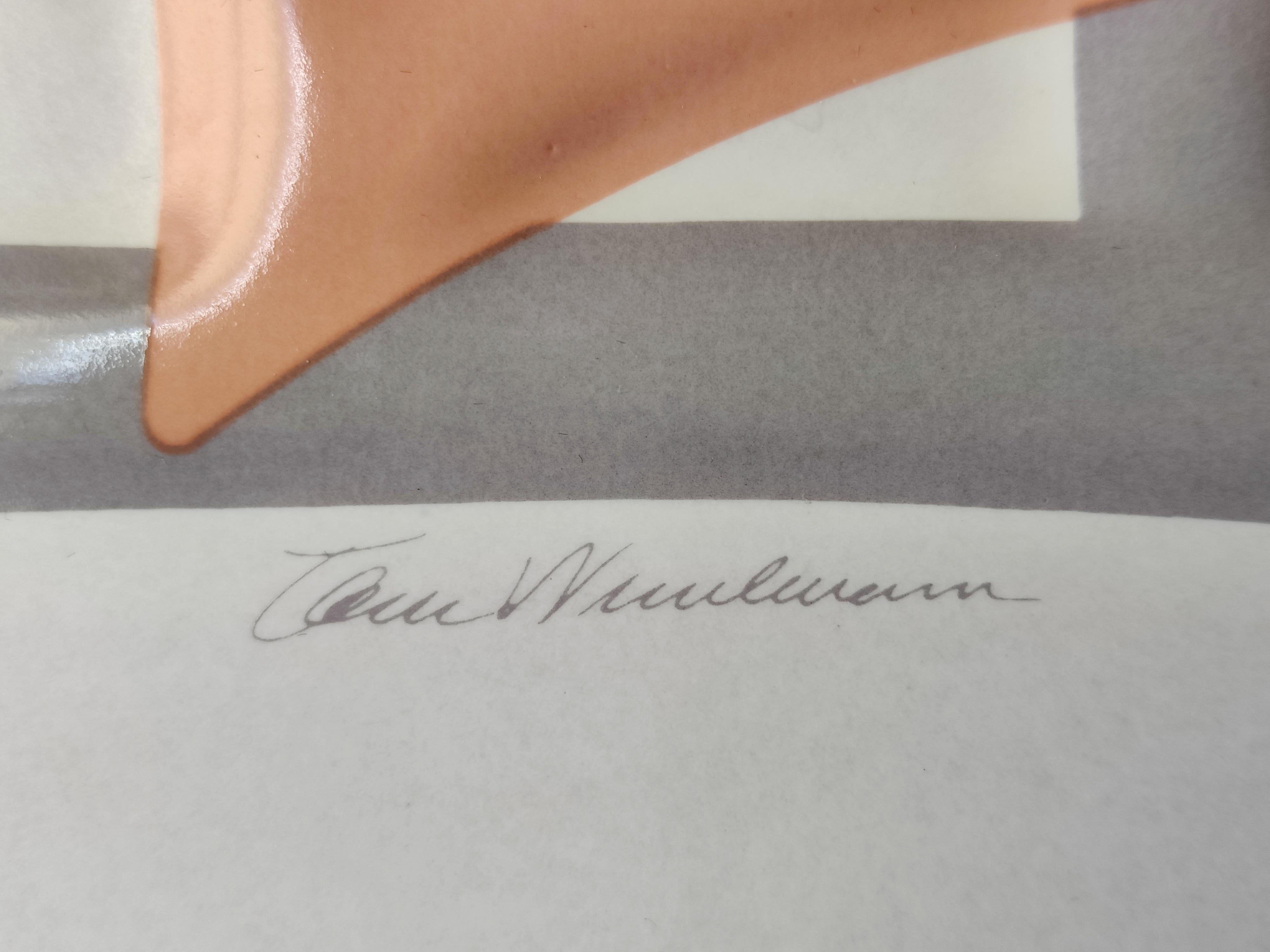 Tom Wesselmann -- Bedroom Blonde For Sale 2